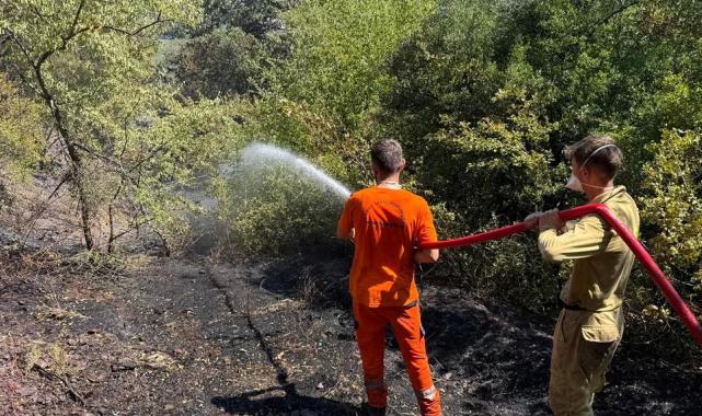 Sakarya Adapazarı'ndaki orman yangını kontrol altında