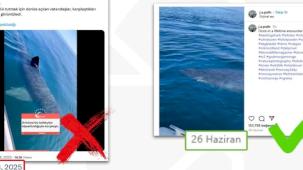 Antalya’da köpekbalığı iddiası dezenformasyon çıktı... DMM: O video Norveç’ten!
