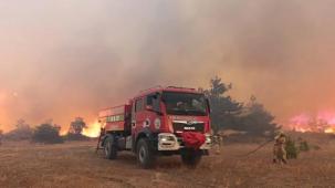 Bakan Yerlikaya'dan 5 günlük yangın raporu: 7 gözaltı, 3 tutuklama