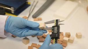 BTÜ’den yerli odun türlerini mobilya ve yapı sektörüne kazandıracak proje