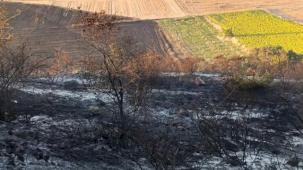 Bursa Karacabey’de orman yangını: 500 dönüm zarar gördü