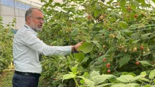 Bursa Kestel ve Gürsu’dan Sırbistan’a tarım çıkarması