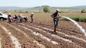 Bursa Yenişehir Ovası'ndan su krizi uyarısı! Yenişehir’de su seviyesi tehlikede!