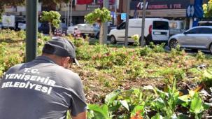 Bursa Yenişehir'in kalbi çiçek açtı