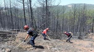Bursa'da orman yangınlarına OSAD'dan koordineli müdahale