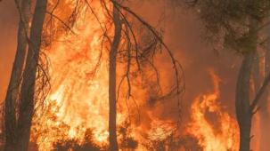 İzmir Gaziemir'deki yangın kontrol altına alınıyor