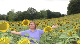 İzmit ayçiçek tarlalarından yağ üretecek