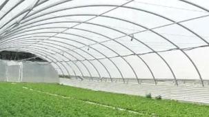 KOP Destekli 'Seracılık Projesi' Selçuklu'da hayata geçiyor