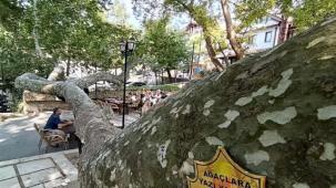 Osmanlı'dan günümüze... Bursa İnkaya'da görkemli gölge