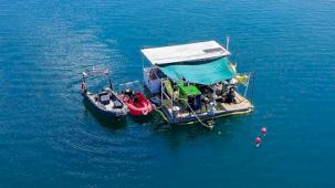 Sakarya Sapanca Gölü’nün su kalitesi koruma altında