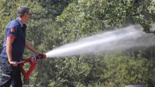 Sakarya’da aynı anda 3 orman yangını: Nuruosmaniye’de müdahale devam ediyor