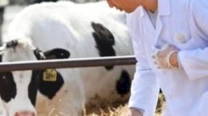 Tarım-GFE'de Mayıs verileri açıklandı... Veteriner harcamaları yine başı çekiyor