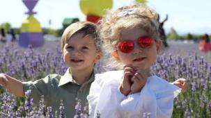 Türkiye'nin en büyük lavanta bahçesinde renk cümbüşü