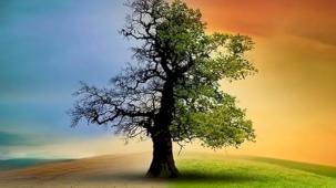 Türkiye’nin ilk İklim Kanunu TBMM’de yasalaştı