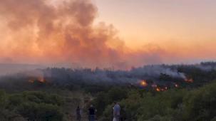 Urla’da yangın kontrol altına alındı