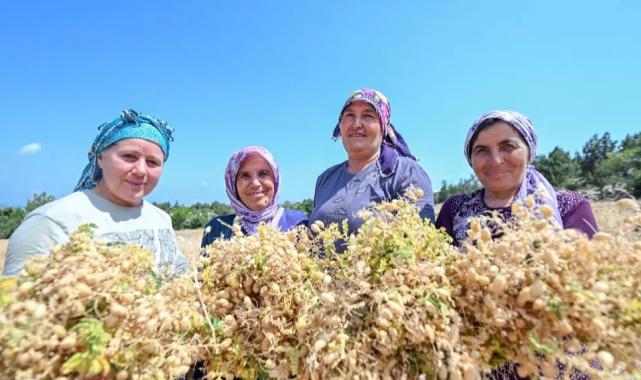Atalık tohumlar geleceğe taşınıyor