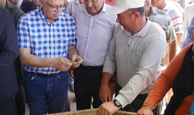 Balıkesir Ayvalık'ta çiftçilere özel destek