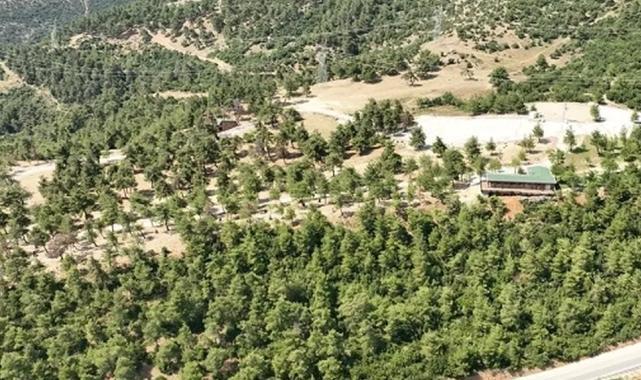Bursa Gürsu'nun mesire alanı küllerden temizlendi