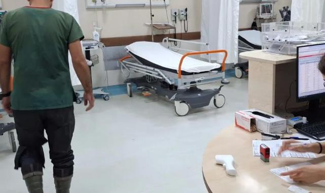 Bursa'da veteriner hekim sokak köpeği tarafından ısırıldı!