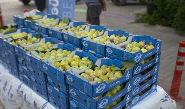 İzmir Güzelbahçe'de dalında kuruyan bardacağı belediye aldı