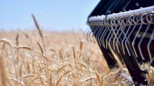 2025-2027 bitkisel üretim desteklemelerinde değişiklik