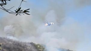 Bursa Orhangazi'de orman yangını!