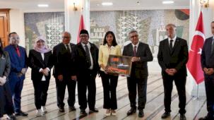 İstanbul ile Cakarta arasında çevresel iş birliği