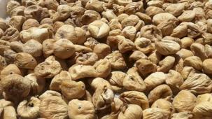 Kuru incirde üreticilere 19 bin kerevet dağıtıldı