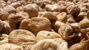 Kuru incirin gıda güvenliği için 19 bin kerevet dağıtıldı