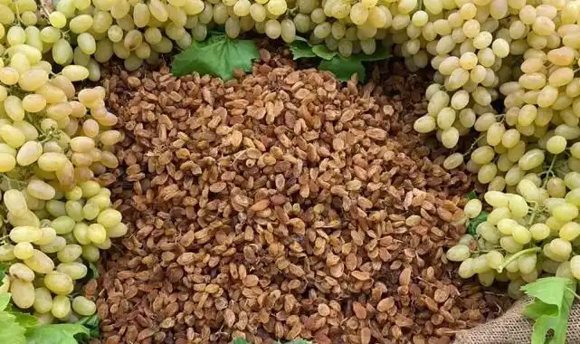 Çekirdeksiz ihracatta Türkiye 'en'leri yaşadı