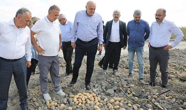 'Patates Tohumunda Dışa Bağımlılık Bitecek'
