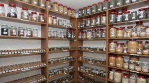 2026 yılında hedef 4 milyon yerel tohum