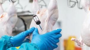 Beyaz et sektöründe rekabet ihlali! 3,7 milyar TL ceza ve sektörel düzenleme