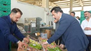 Bursa Yenişehir'in tarım ürünleri Libya yolunda... İlk numuneler gönderildi