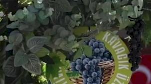 Karabağlar Kavacık'taki üzümle 13'üncü buluşma