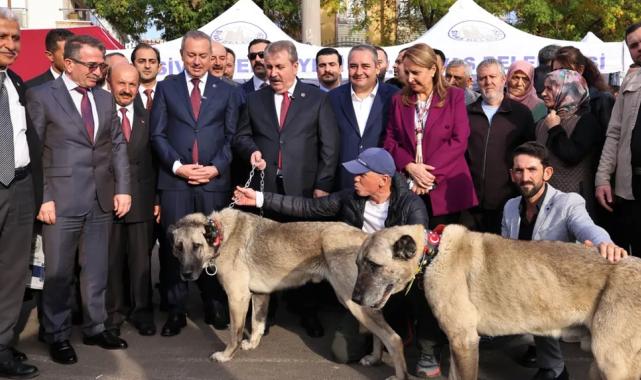 Ankara Keçiören'de 'Sivas Günleri' coşkusu