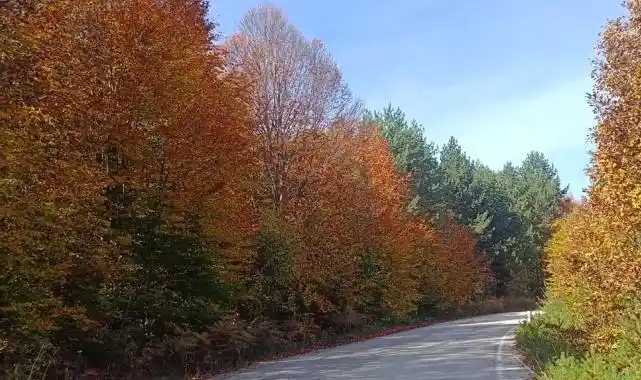 Bilecik Bozcaarmut’ta sonbahar büyüsü