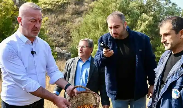 Bursa Karacabey 'Alıç Meyvesi'ni dünya pazarında tanıtacak!