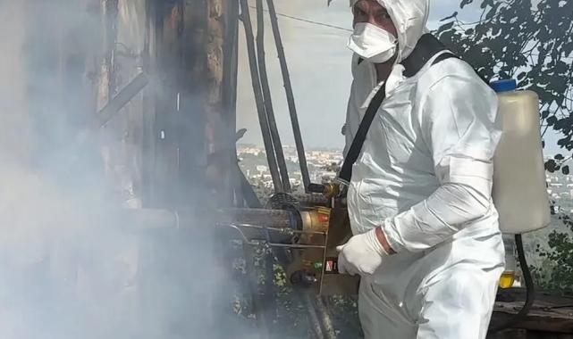 Kahverengi kokarca mücadelesinde 1 milyon haneye ilaçlama