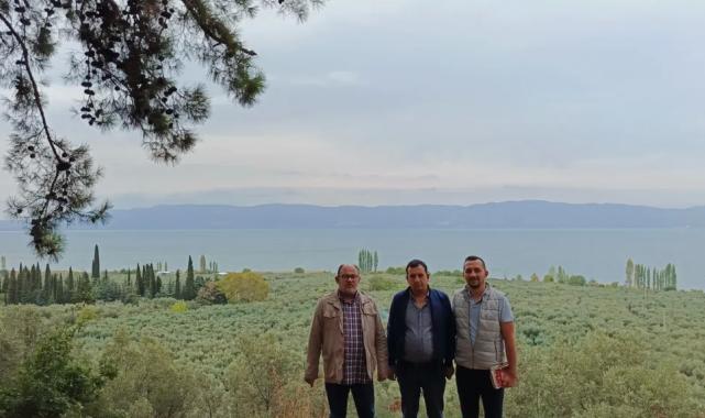 Marmarabirlik’ten 'anıt zeytin ağaçları'na özel marka vizyonu