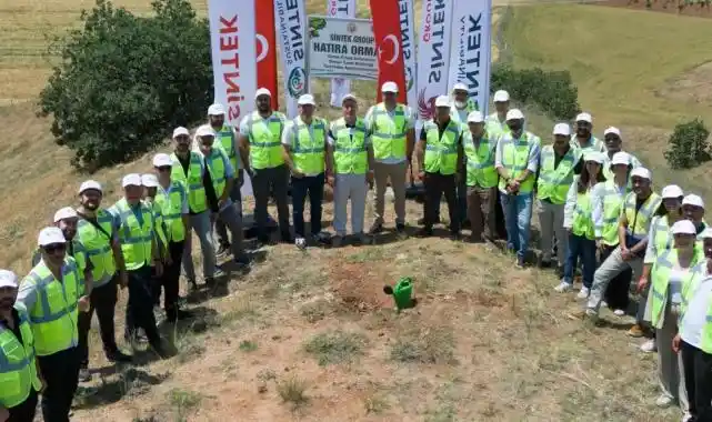 Sintek, 20. Yılında Geleceğe 10 Binin Üzerinde Fidanla Nefes Oldu