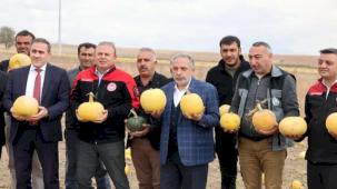 Birinci olan Kayseri Talaslı çiftçiye Başkan Yalçın'dan tebrik