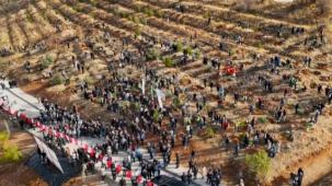 Deprem Şehitleri Hatıra Ormanı yenileniyor