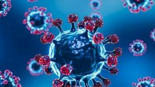 Frankenstein varyantı... COVID-19’da yeni tehlike!