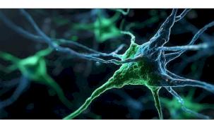 Kaspersky, Windows Server sistemlerini hedef alan PassiveNeuron siber casusluk operasyonunu ortaya çıkardı