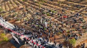 Malatya'da deprem şehitleri hatıra ormanı yenileniyor