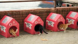 Opera 'Kedi Mahallesi' Oluşturmak için HAÇİKO ile Güçlerini Birleştirdi