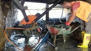 Ordu Büyükşehir’den altyapıya kapsamlı müdahale