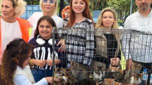 “Satın Alma, Sahiplen” etkinliğinde can dostlara yeni yuvalar
