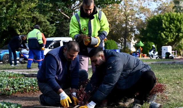 Antalya Muratpaşa'da Trafik Parkı çiçek bahçesine dönüştü